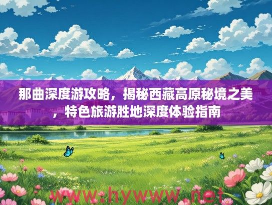 那曲深度游攻略，揭秘西藏高原秘境之美，特色旅游胜地深度体验指南